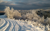 Beaujolais in Winter